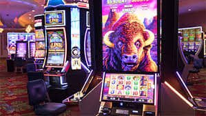 96clubpk Sportsbook